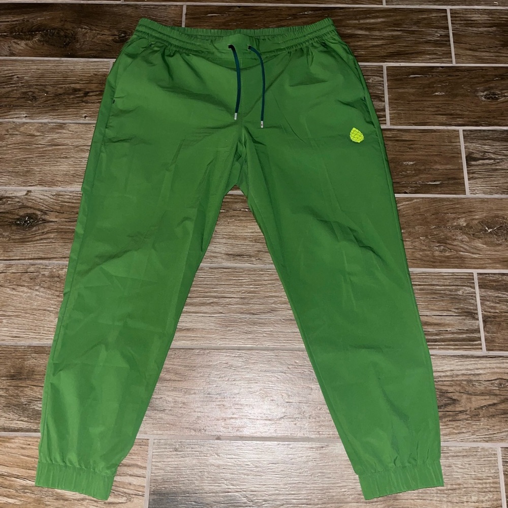 Stio PTV women’s green joggers